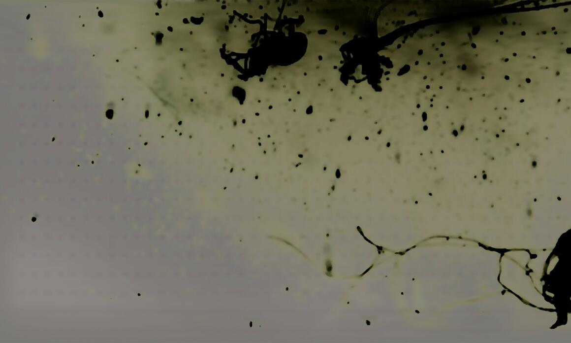 CONTOUR EDITIONS LANZA LA OBRA SONORA Set1.202207