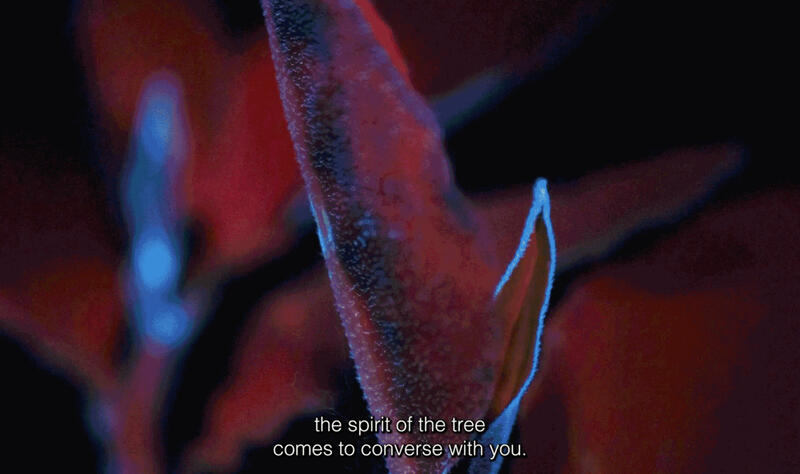 CONTRA-EXPEDICIONES: CASTELBLANCO DESMANTELA EL IMAGINARIO COLONIAL DEL VIAJE