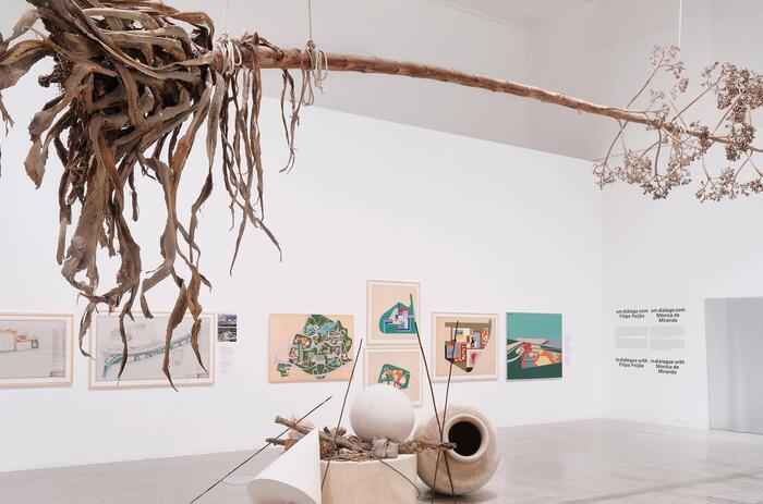 DIÁLOGOS CON EL LEGADO DE BURLE MARX EN MAC/CCB