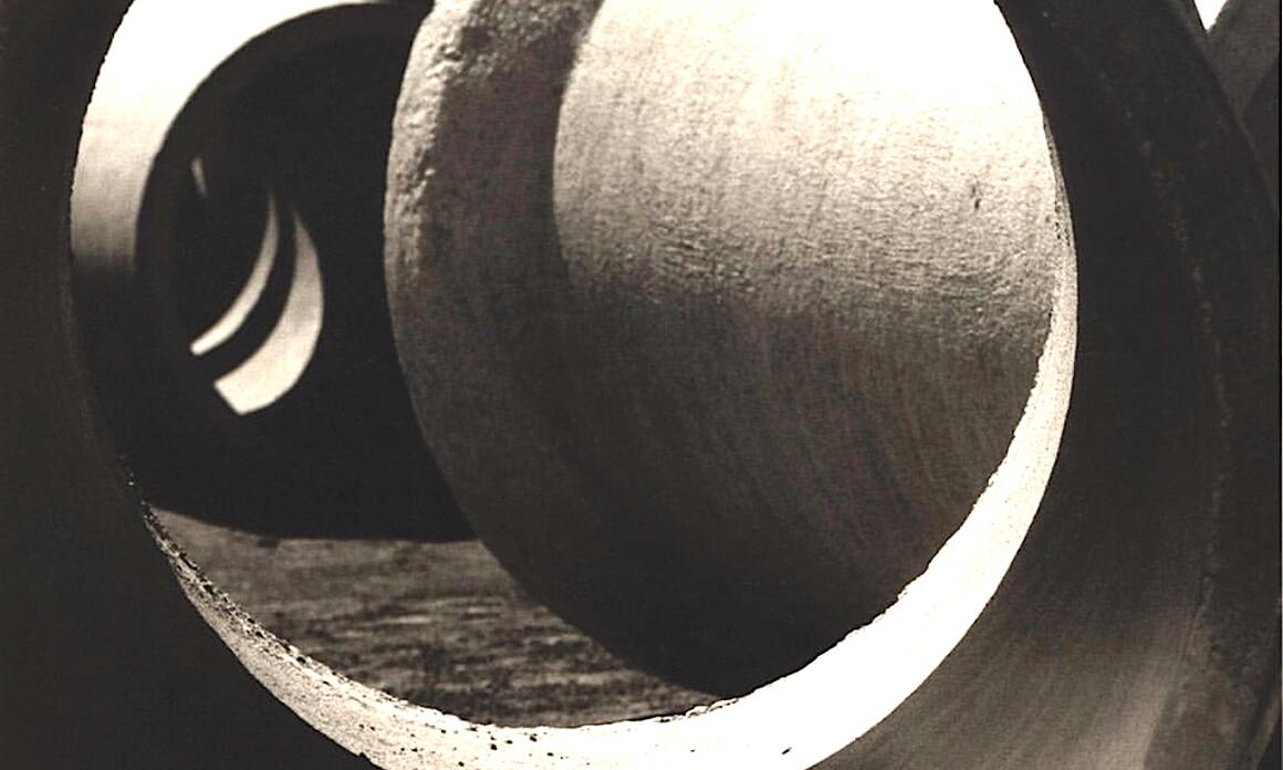 EL MUSEU DE ARTE DE SÃO PAULO EXHIBE GETRUDES ALTSCHUL: FILIGRANA