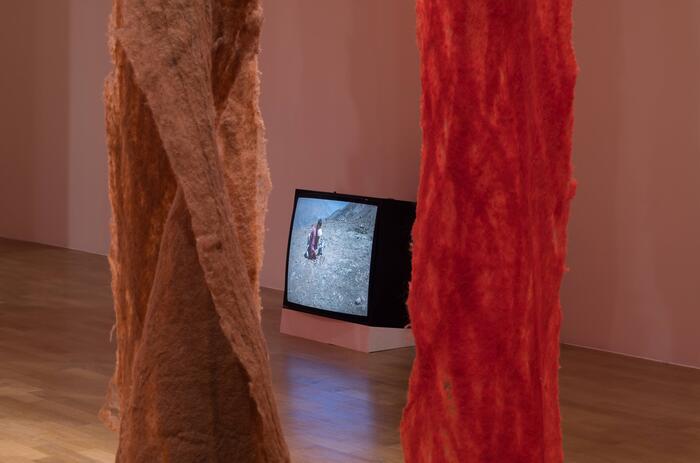 EL UNIVERSO INTERDISCIPLINAR DE CECILIA VICUÑA EN LONDRES