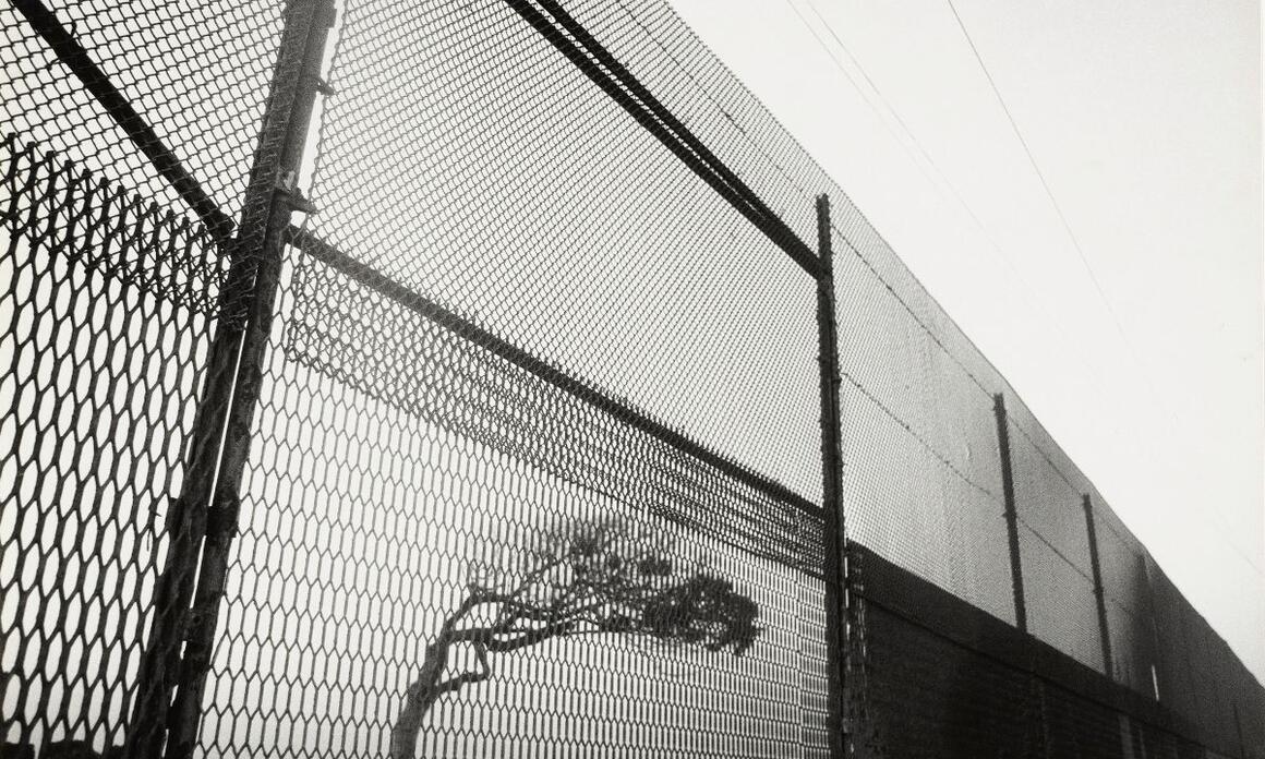 ENRIQUE BOSTELMANN: APERTURAS Y PAISAJES FRONTERIZOS