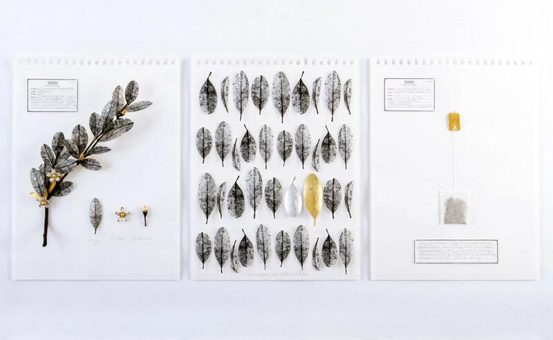 "ENTRE LA COCA Y EL ORO" EN LA TRIENAL DE NUEVA YORK 2025