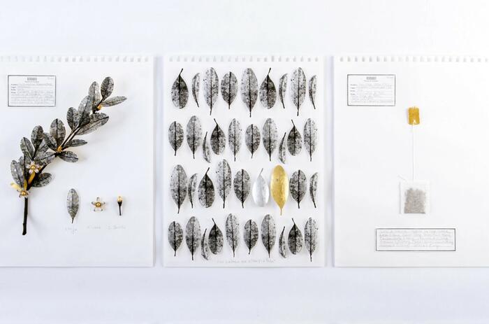 "ENTRE LA COCA Y EL ORO" EN LA TRIENAL DE NUEVA YORK 2025