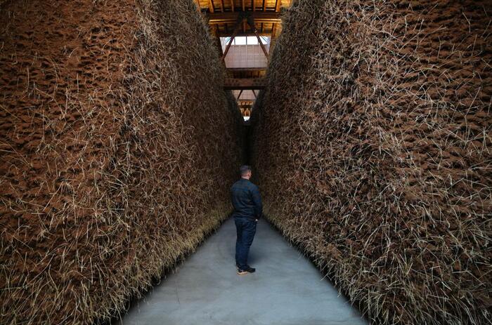 ENTRE TIERRA Y CEMENTO: DELCY MORELOS EXHIBE EN LONDRES