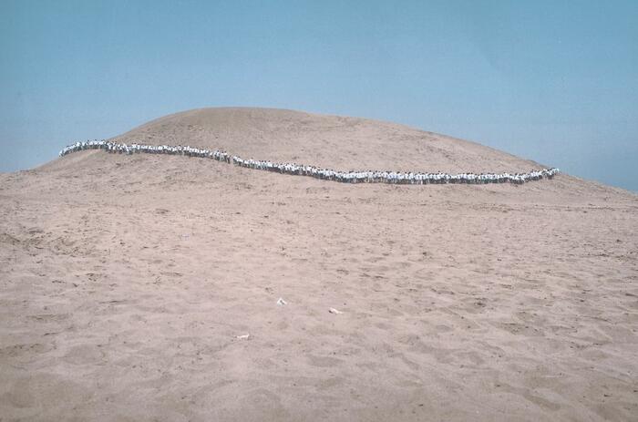 FRANCIS ALŸS: DOS DÉCADAS DESPUÉS DE SU PROYECTO