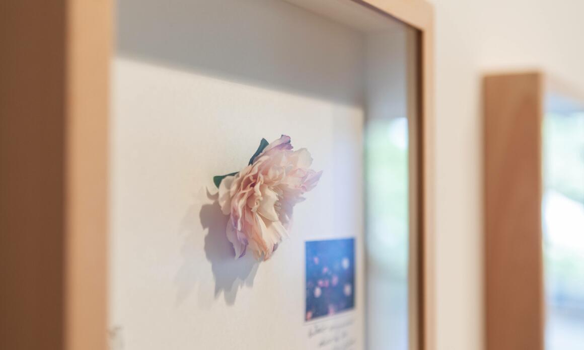 FUNDACIÓN RAC ACOGE LA EXPEDICIÓN CAMELIAS DE BARAYA  