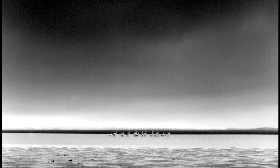 GALERIA BLACK: FOTOGRAFÍA EN SOLIDARIDAD