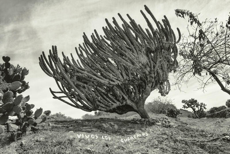 GETTY PUBLICA “INSTANTE/REVELACIÓN”, UN SIGLO DE FOTOGRAFÍA MEXICANA 