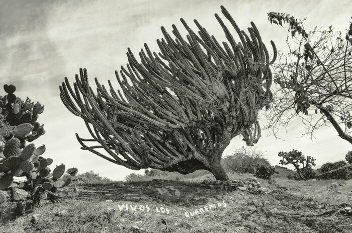 GETTY PUBLICA “INSTANTE/REVELACIÓN”, UN SIGLO DE FOTOGRAFÍA MEXICANA 