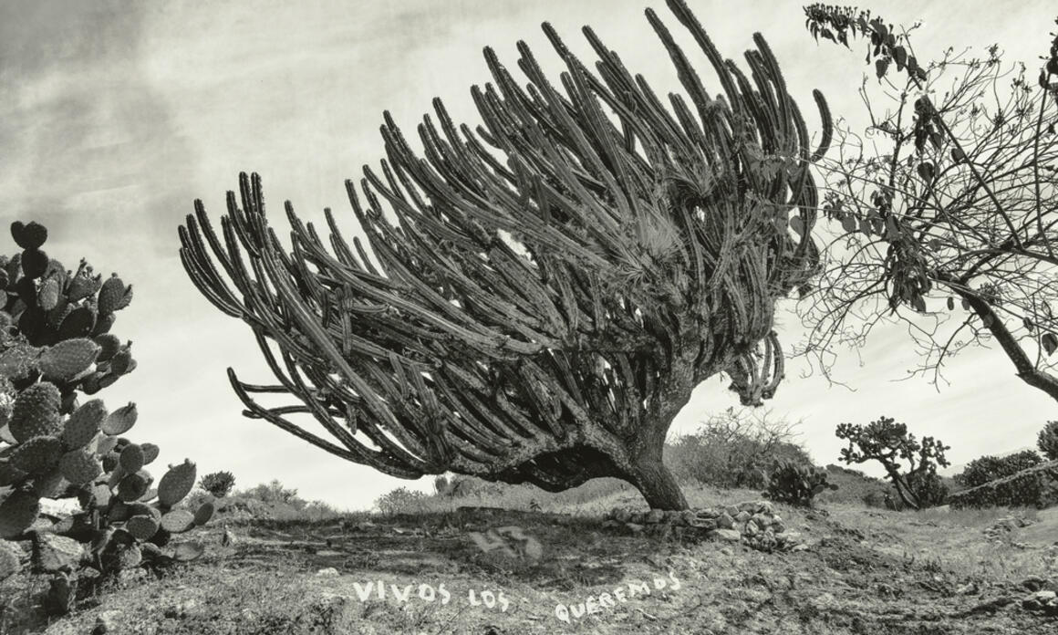 GETTY PUBLICA “INSTANTE/REVELACIÓN”, UN SIGLO DE FOTOGRAFÍA MEXICANA 