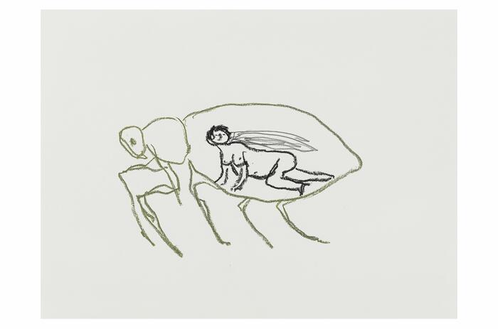  HISTORIAS DE ECOLOGÍA: UNA EXPOSICIÓN COLECTIVA INTERNACIONAL EN MASP