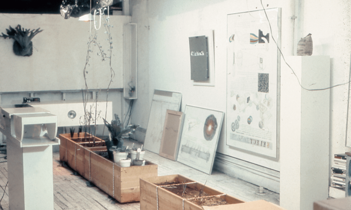 INSTITUO CISNEROS Y MoMA PRESENTAN ‘REENLAZARNOS: LA ECOLOGÍA CONTEMPORÁNEA A TRAVÉS DE LAS IDEAS DE JUAN DOWNEY’