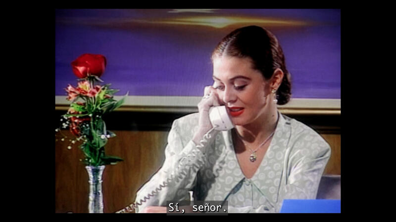 LA TELENOVELA COMO OBJETO DE INVESTIGACIÓN EN AMERICAS SOCIETY