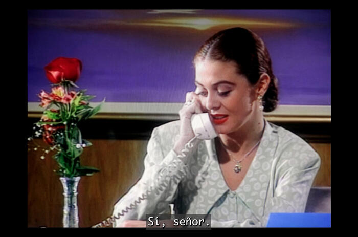 LA TELENOVELA COMO OBJETO DE INVESTIGACIÓN EN AMERICAS SOCIETY