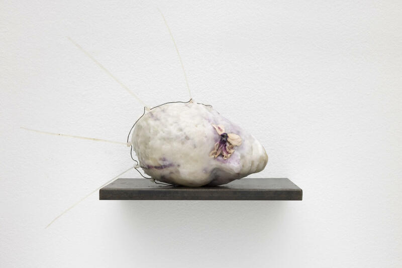 LÍMITES Y METAMORFOSIS DE LA EXPERIENCIA HUMANA EN MAMBO