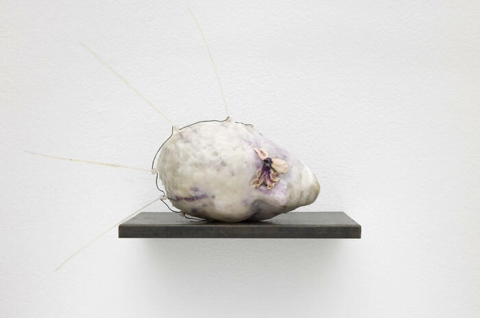 LÍMITES Y METAMORFOSIS DE LA EXPERIENCIA HUMANA EN MAMBO