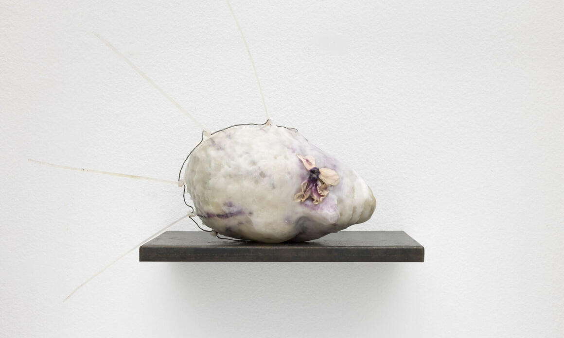 LÍMITES Y METAMORFOSIS DE LA EXPERIENCIA HUMANA EN MAMBO