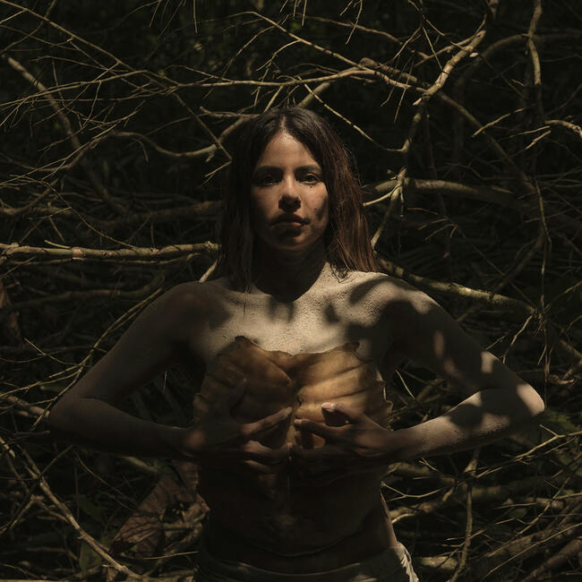 LINETT, ZEVALLOS VILLEGAS Y SARABIA, PRESENCIA LATINOAMERICANA EN VISIÓN Y PRESENCIA 2026