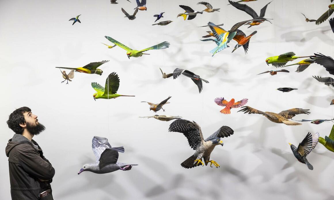 LO QUÉ ARCOmadrid NOS DEJO EN SU EDICIÓN 2023