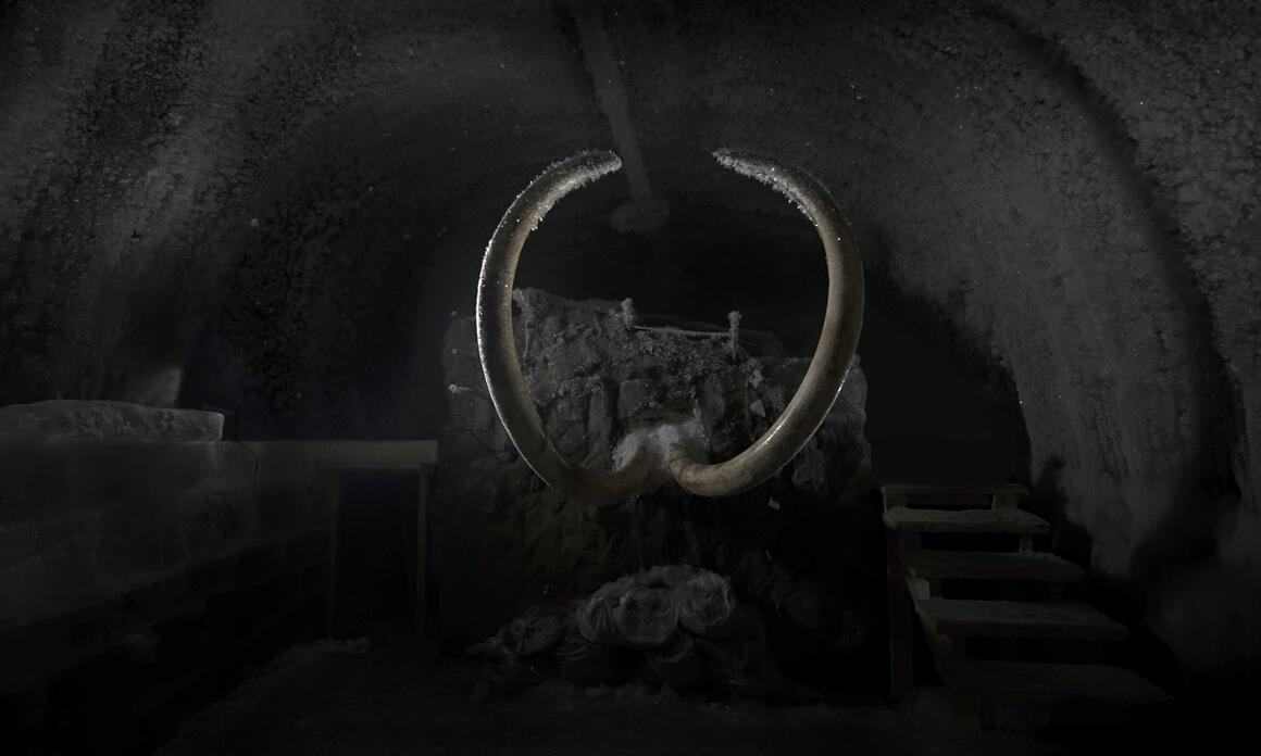 MAYA WATANABE EN UNA MUESTRA COLECTIVA EN EL COMPLEJO DEL HOSPEDALETTO EN VENECIA