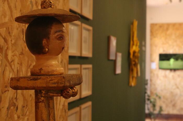 MIRADAS ECOFEMINISTAS EN EL CENTRO CULTURAL DE ESPAÑA PANAMEÑO