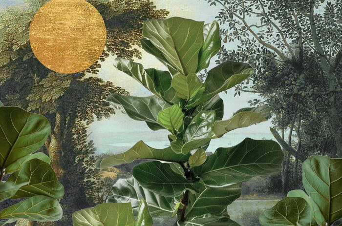 PINTA PANAMÁ ART WEEK 2026 REAFIRMA AL PAÍS COMO HUB DEL ARTE CONTEMPORÁNEO REGIONAL