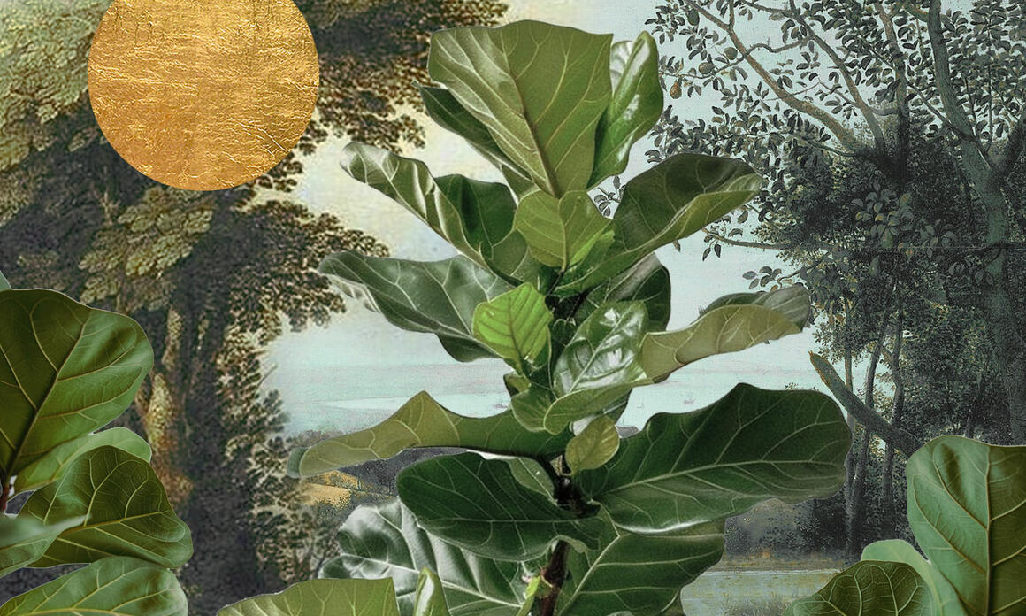 PINTA PANAMÁ ART WEEK 2026 REAFIRMA AL PAÍS COMO HUB DEL ARTE CONTEMPORÁNEO REGIONAL