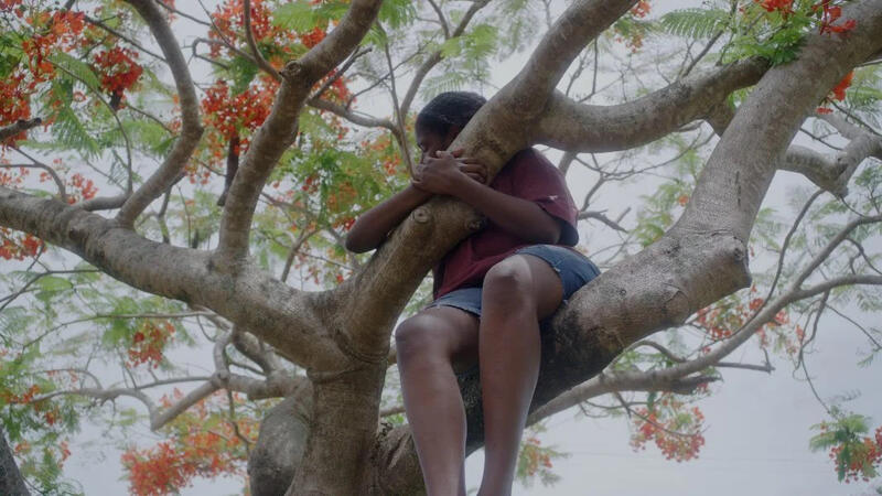 REMEMORY 2026: LA BIENAL DE SÍDNEY REVELA ARTISTAS Y OBRAS QUE ACTIVAN MEMORIAS SUPRIMIDAS 