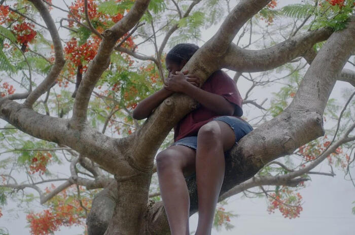 REMEMORY 2026: LA BIENAL DE SÍDNEY REVELA ARTISTAS Y OBRAS QUE ACTIVAN MEMORIAS SUPRIMIDAS 