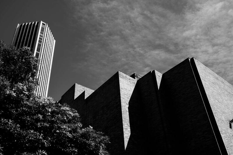 TRES EXPOSICIONES EN MAMBO: ENTRE SOMBRA, SUEÑOS Y MEMORIA 