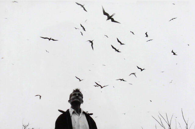 UN RECORRIDO POR LA FOTOGRAFÍA LATINOAMERICANA Y UNA REFLEXIÓN SOBRE EL ROL DEL COLECCIONISMO 