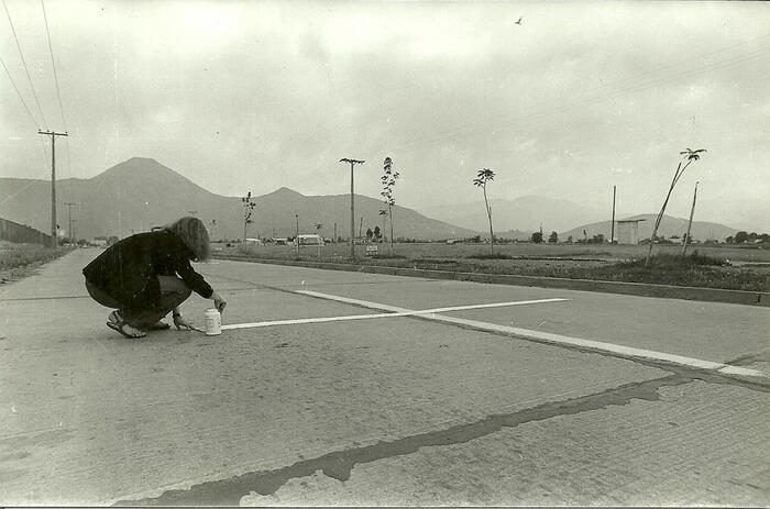 UNA LÍNEA COMO ARMA: LOTTY ROSENFELD EN ALEMANIA 