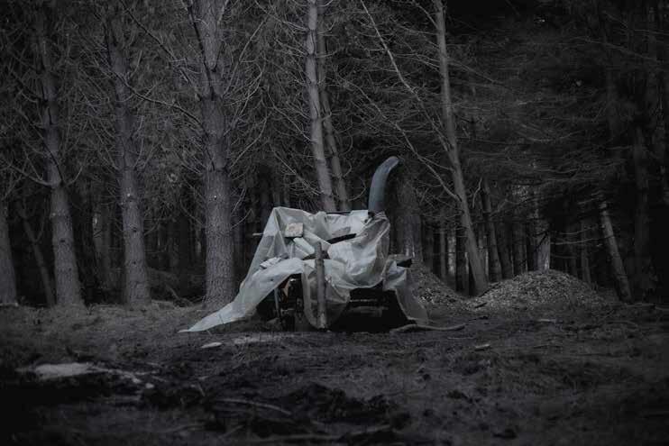 VUTAMUSEO 2025: MEMORIA Y TERRITORIO EN EL DÍA DE LOS PATRIMONIOS