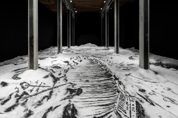 BIENAL DE VENECIA 2026: UNA MIRADA CONTEMPORÁNEA SOBRE MEMORIA, ARCHIVO Y TERRITORIO