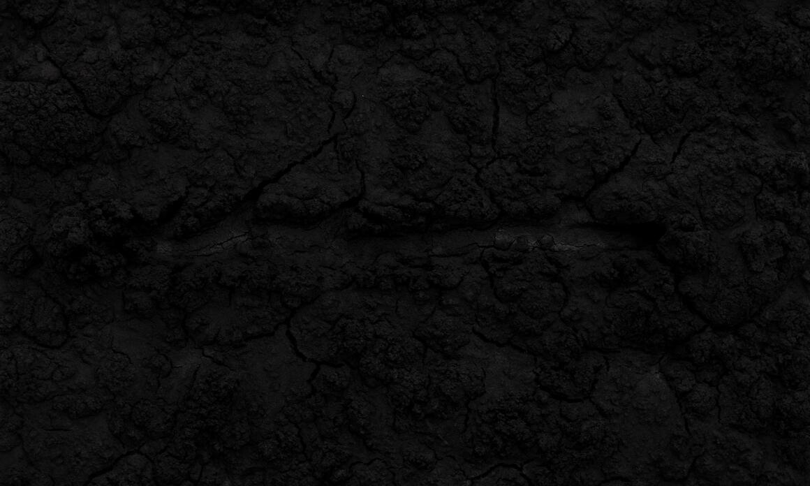 BOSCO SODI Y EL VOLUMEN DE LA OSCURIDAD