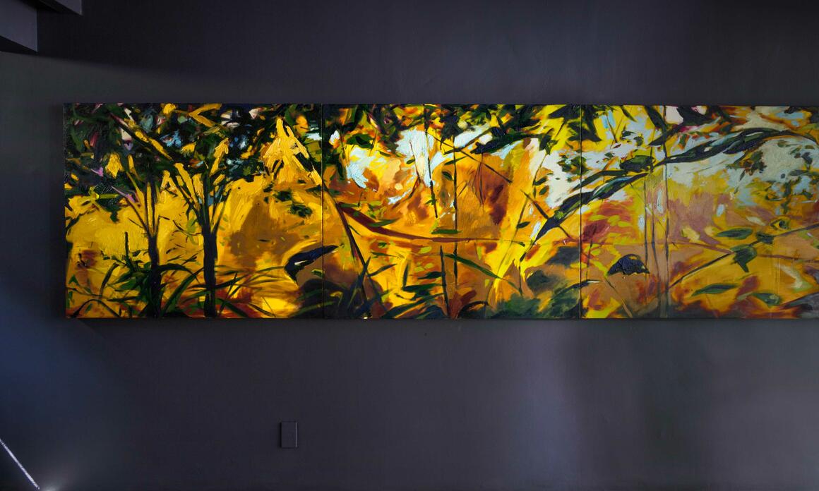 DESCUBRIR DONDE EL SOL SE REFUGIA Y CONVERTIRLO EN OBRA