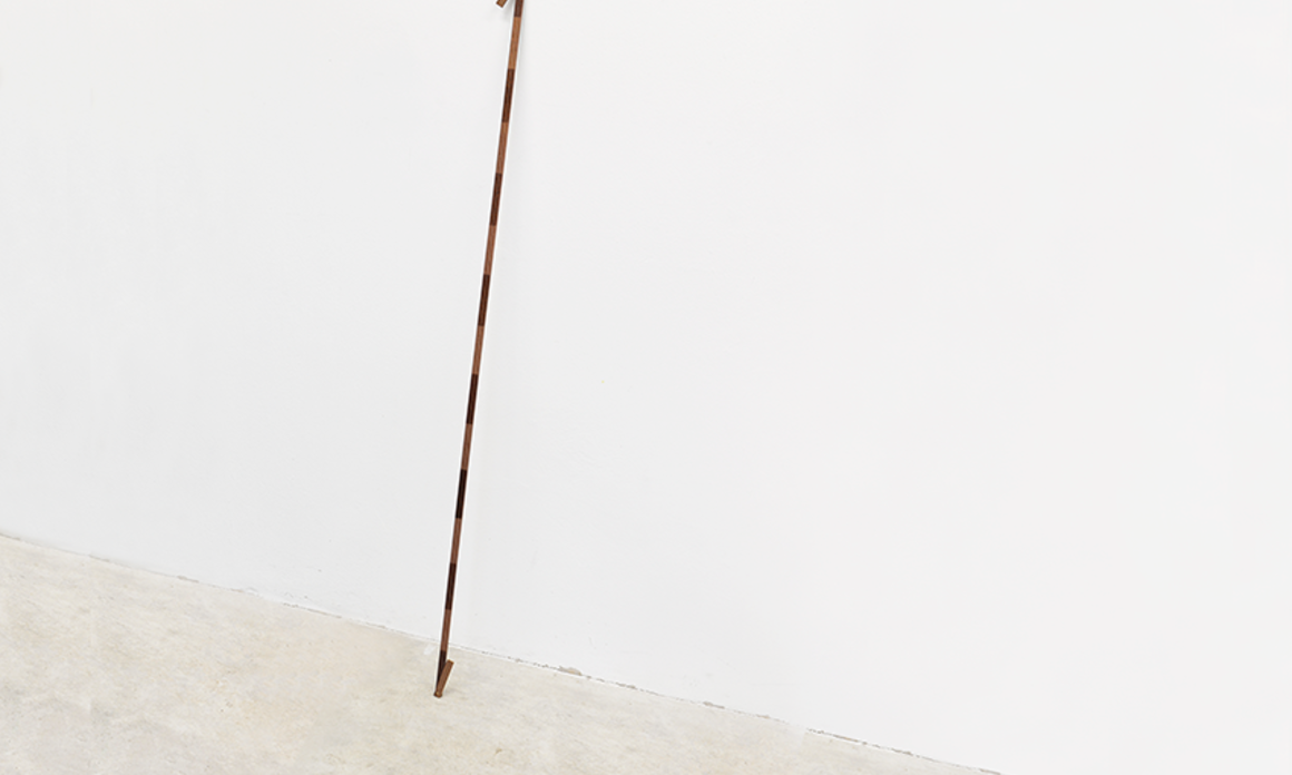 Gerardo Goldwasser, Medidas rígidas [Rigid Measures], 2015. Wood and varnish, 100 cm. long / Madera y barniz, 100 cm, largo.