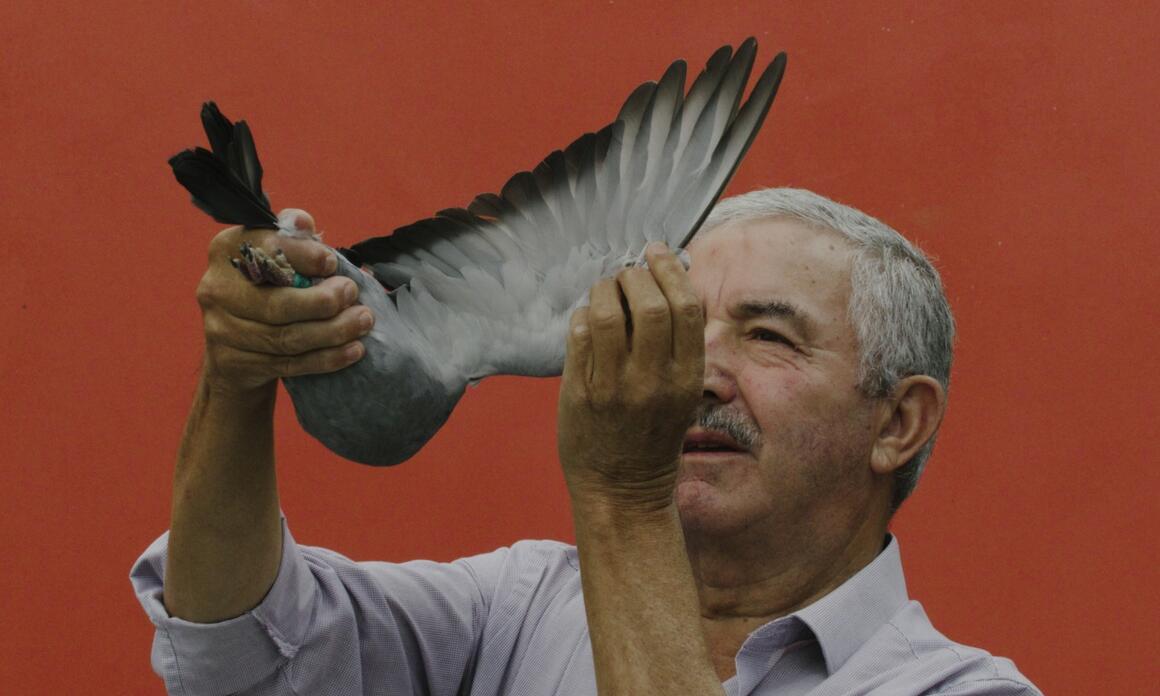 JONATHAS DE ANDRADE EN MOVIMIENTO, EN CONDEDUQUE