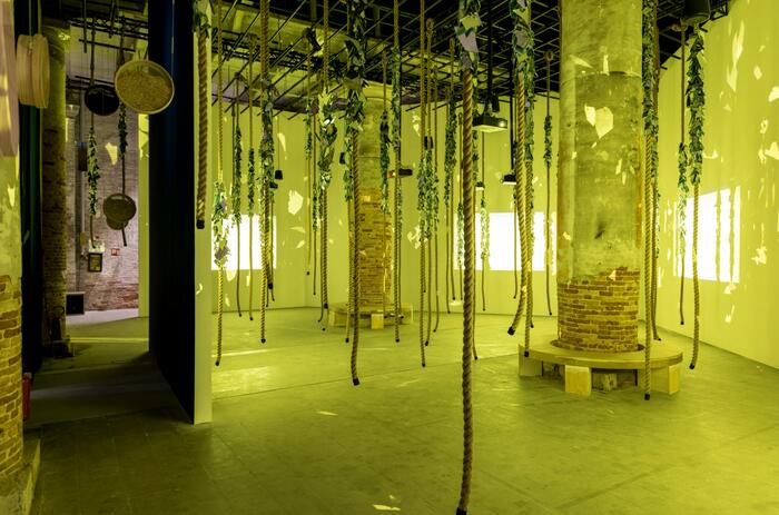 LO QUE HAY NO ES LO QUE VES: QUÉ FANTASMAS INSISTEN EN LA BIENAL DE VENECIA