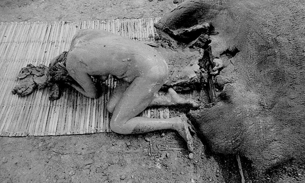 RADICALIDADES DE LA RED: EL VIENTRE DE LA TIERRA