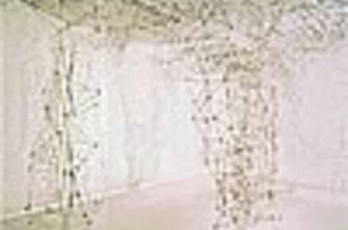 "ARTE CINÉTICO" DESDE VENEZUELA