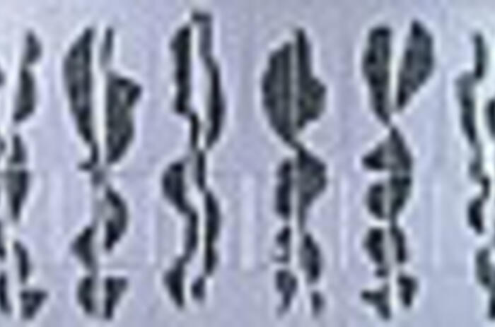 Reviews - Alfredo Ramírez