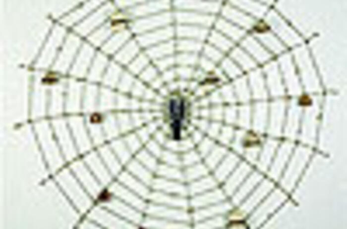 Rubén Torres Llorca