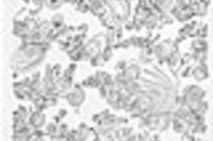 Reviews - León Ferrari