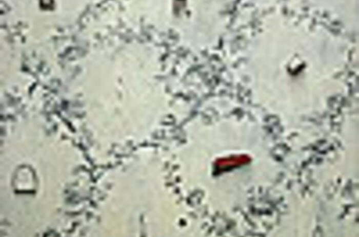 Reviews- Valeria Ghezzi