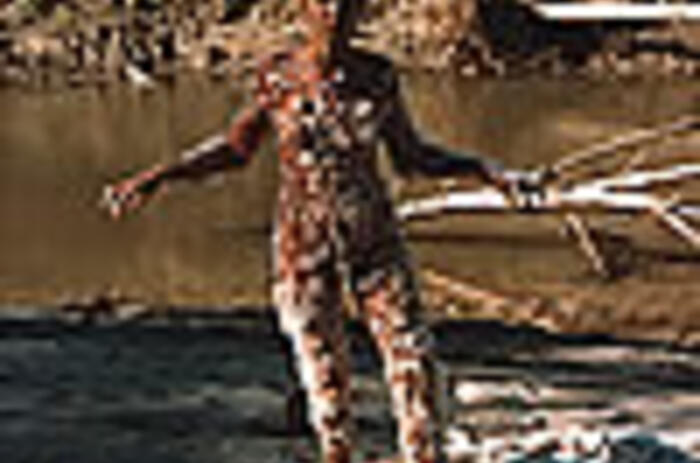 Reviews - Ana Mendieta: Earth and Body