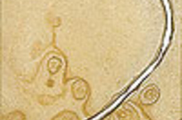 REVIEWS - ECO: ARTE CONTEMPORÁNEO MEXICANO