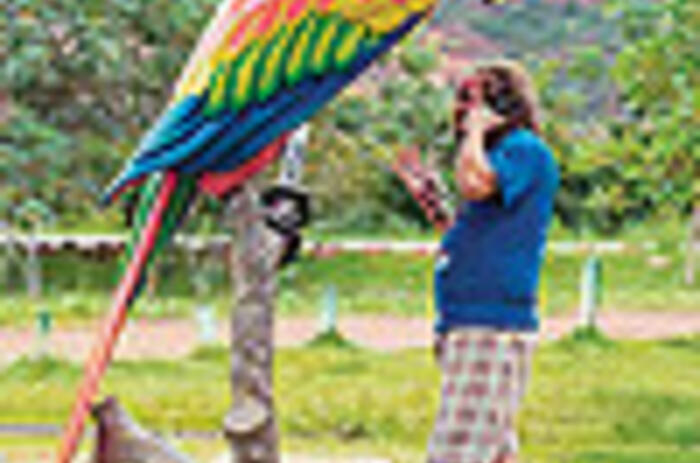 51 BIENAL DE VENECIA