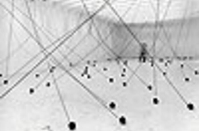 MAGDALENA FERNÁNDEZ